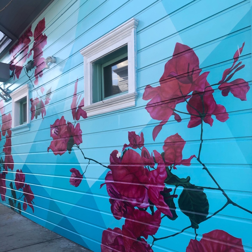 Meet your Posher, Cinthia